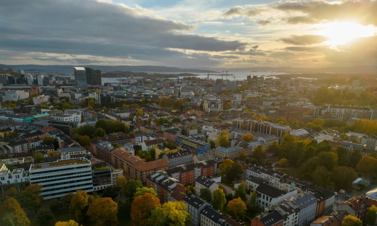 les meilleures universites aux pays bas