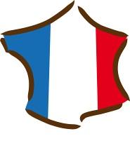Bourses d'études régionales France pour partir à l'étranger