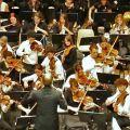 Stage à l'assocation européenne des conservatoires en Belgique