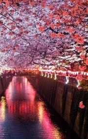 Travailler au Japon