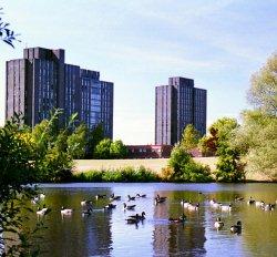 Campus de Université de l'Essex