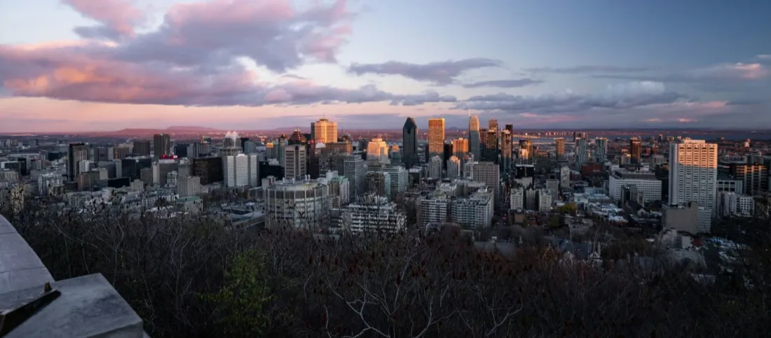  Comprendre le système universitaire au Québec : le guide