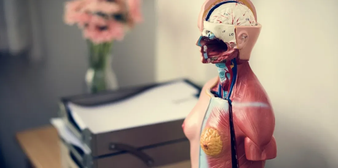 Faire médecine en Italie : le guide