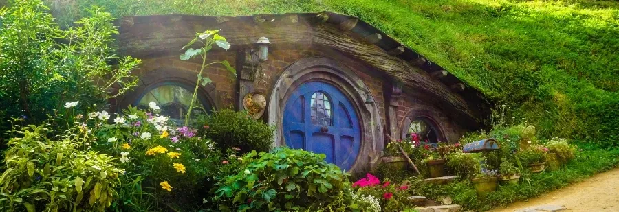 Les bourses d'études en Nouvelle-Zélande