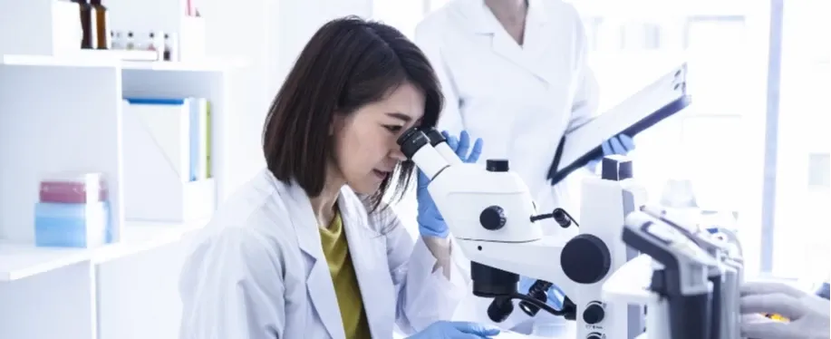 Faire un PhD ou Post-Doc en Nouvelle-Zélande