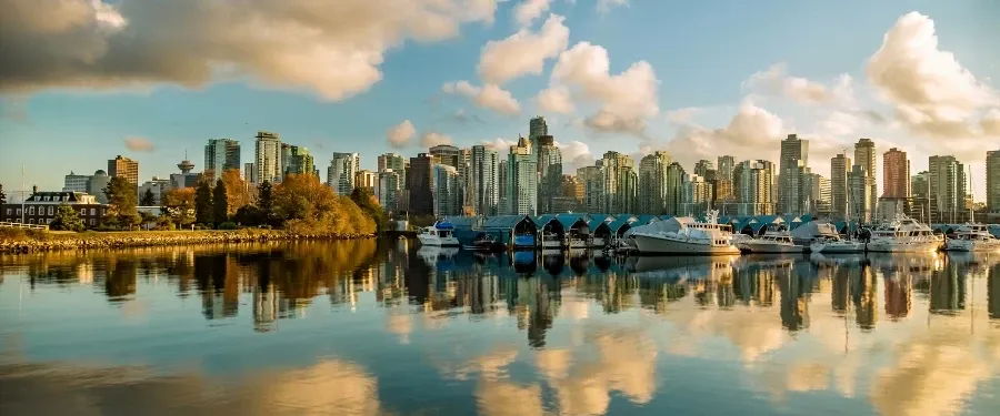 Volontariat International en entreprise